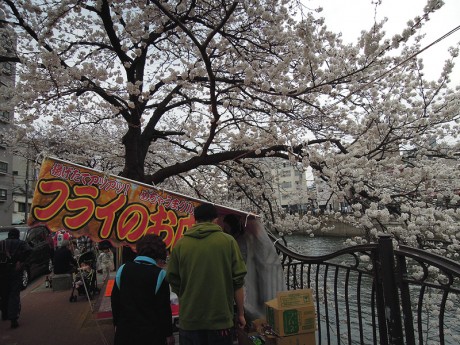 屋台と桜