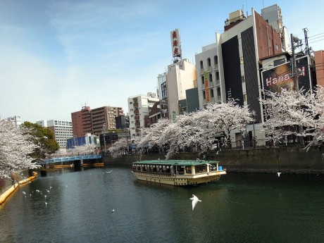 桜と屋形船